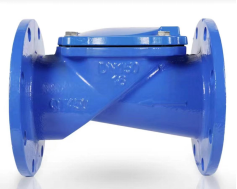 橡膠辯法蘭止回閥